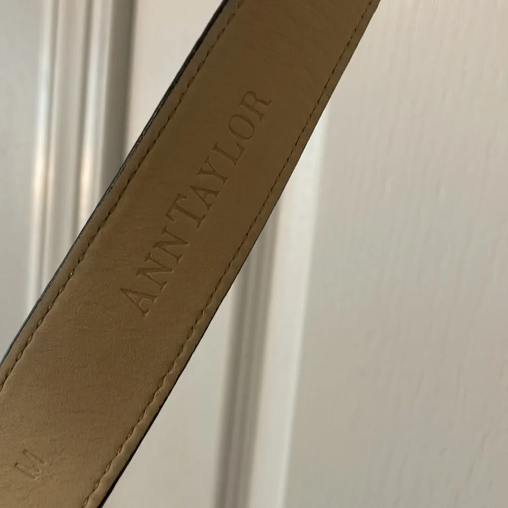 Ann Taylor Belt